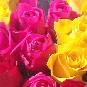 Marylan_M