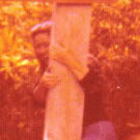 3BRENDA_C3j